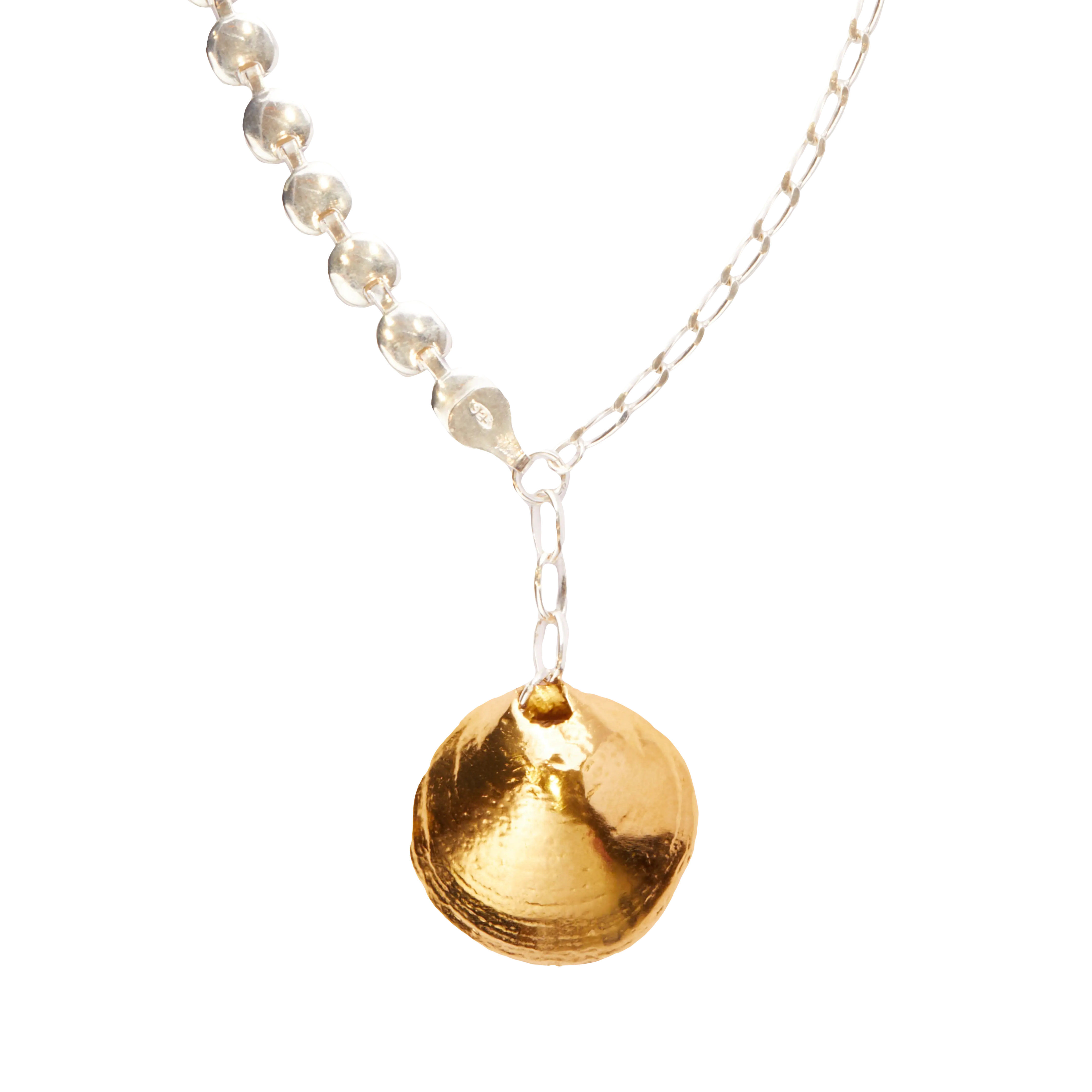 Una Concha En La Arena