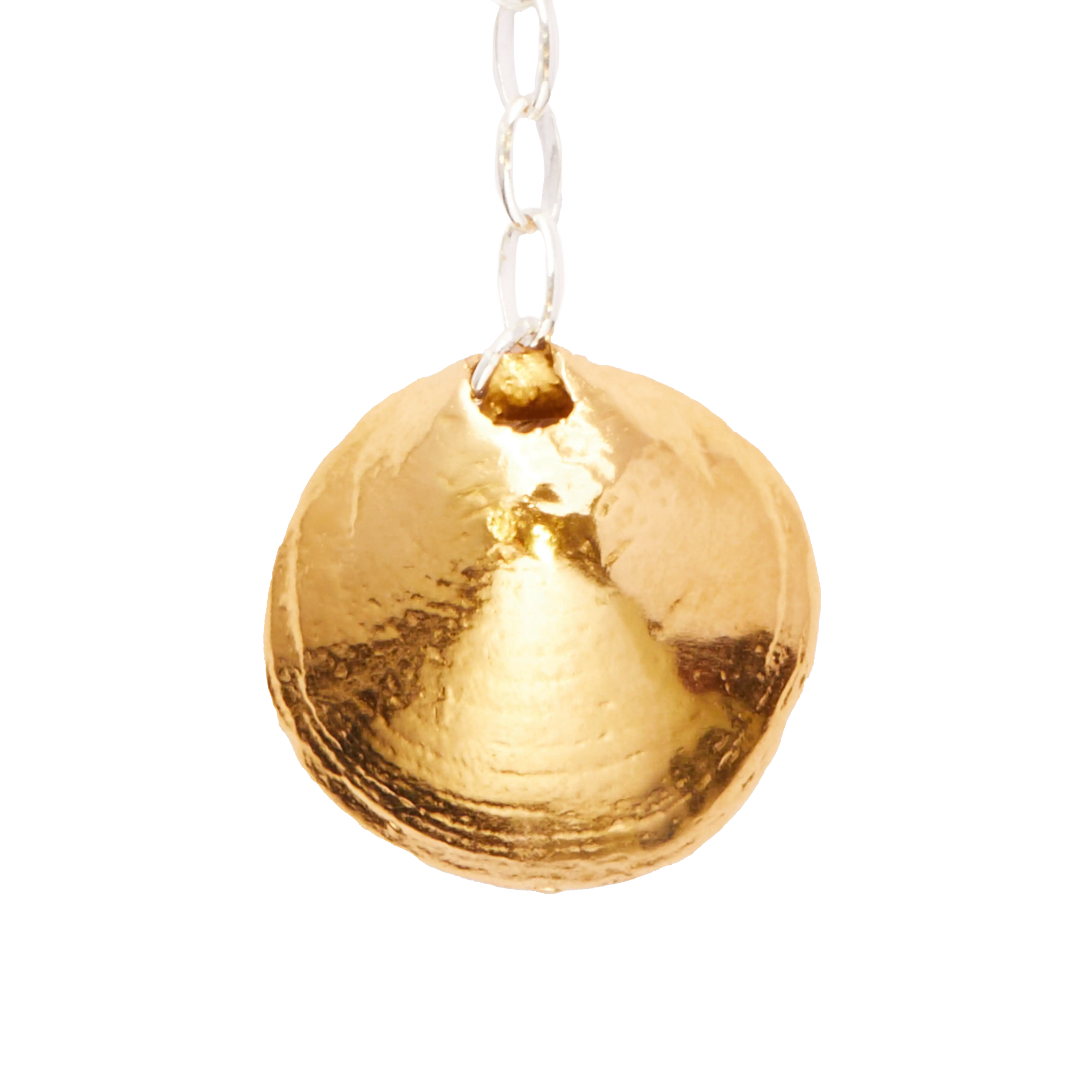 Una Concha En La Arena